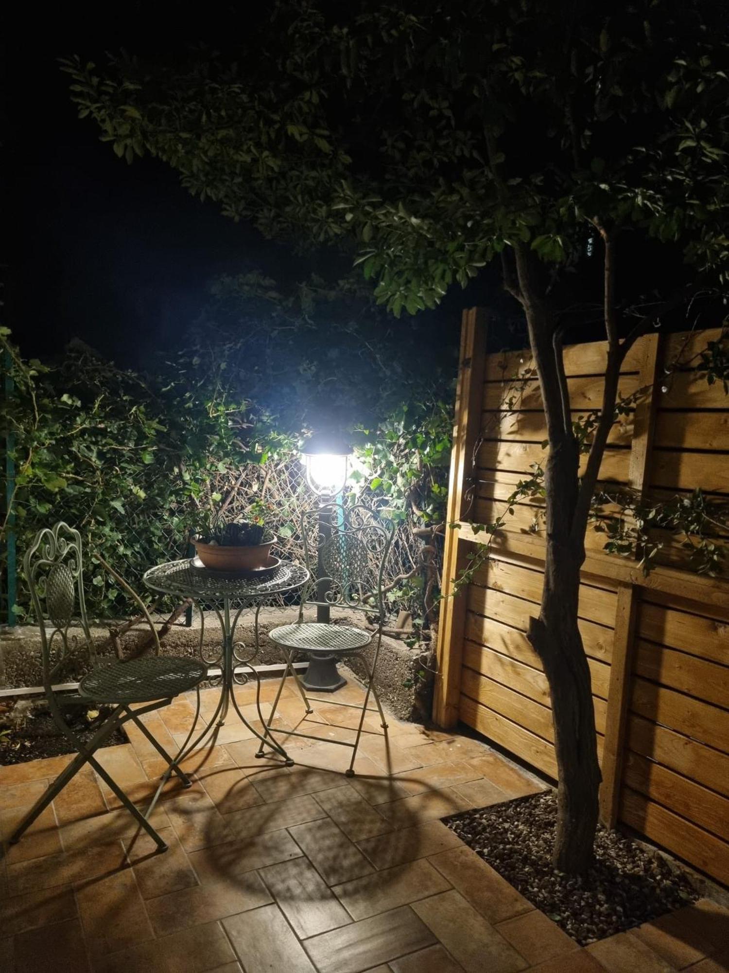 Cavana Cosy Apartment With Garden Near The Sea Trieste Dış mekan fotoğraf